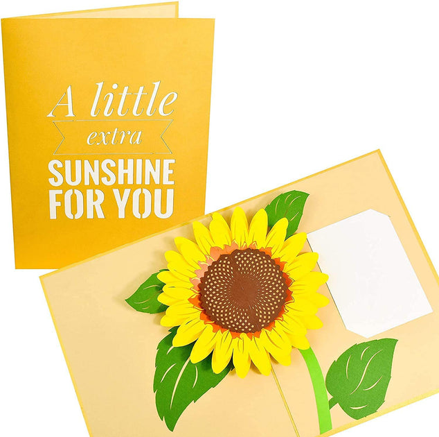 Get Well Soon Pop Up Cards, 3D Paper Flowers Bouquet Greeting Cards  Sunflower Birthday Popup Cards Congratulations Gifts for Women Boss Best  Friends
